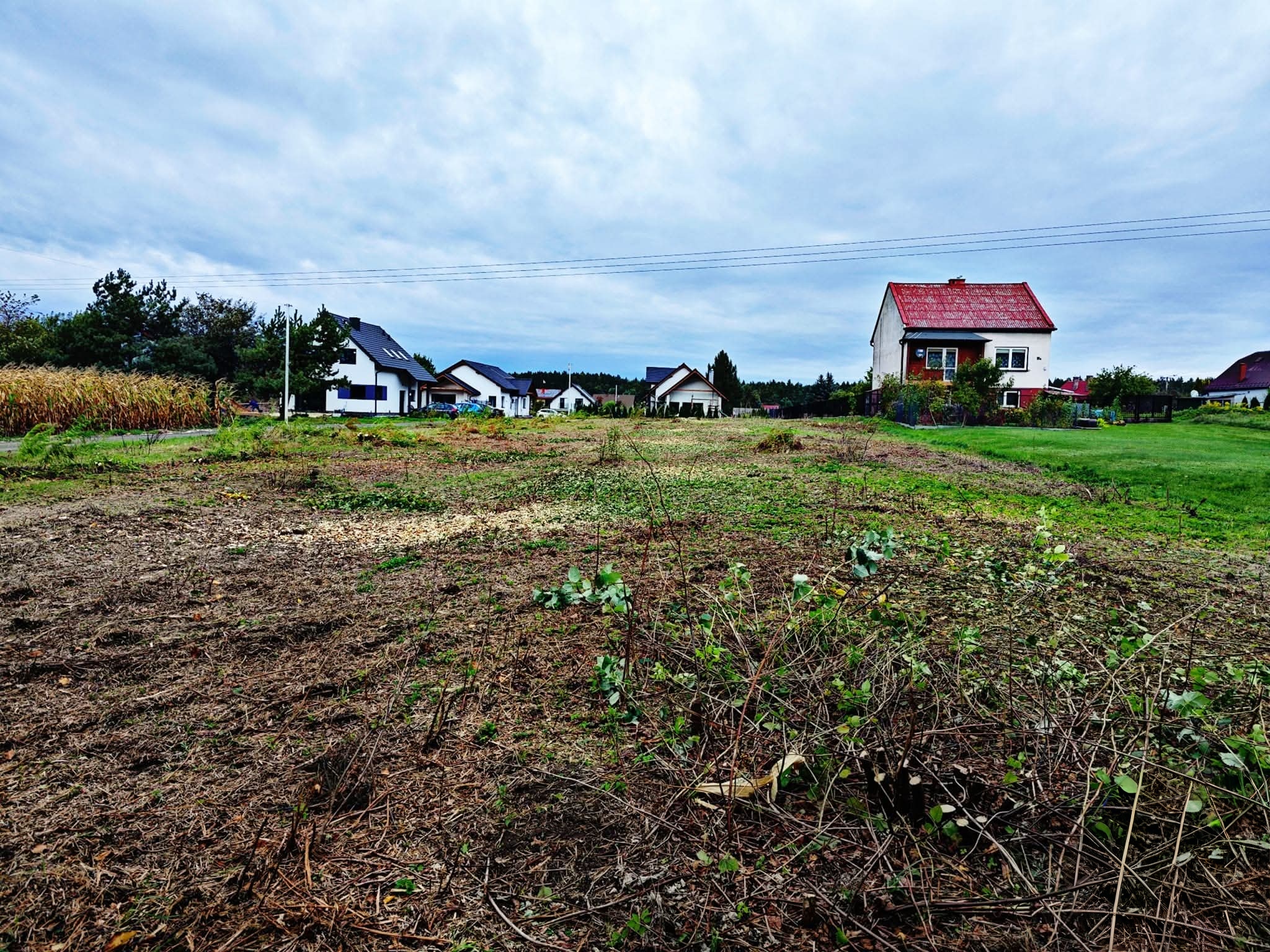 Usuwanie zarośli